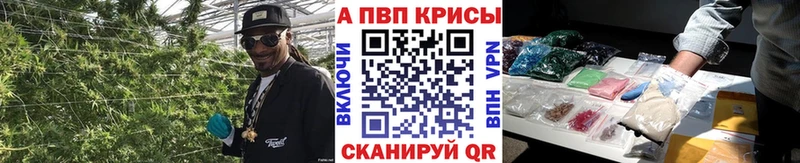 блэк спрут как войти Ахтырский Альфа ПВП Crystall